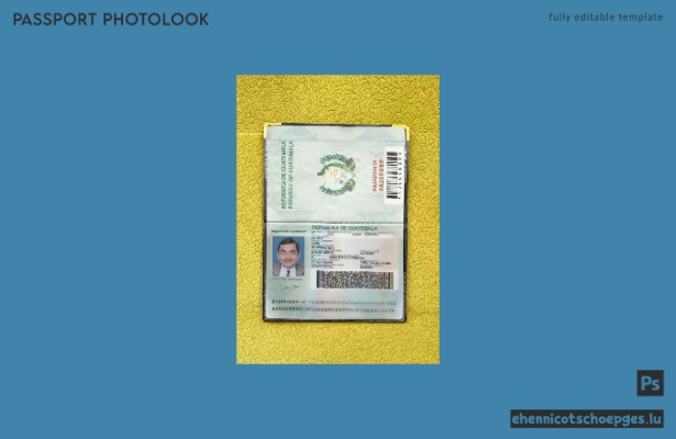 Beispielansicht eines guatemaltekischen Passfotos